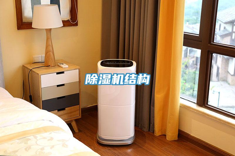 蘑菇视频网站結構