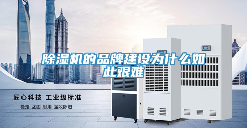 蘑菇视频网站的品牌建設為什麽如此艱難