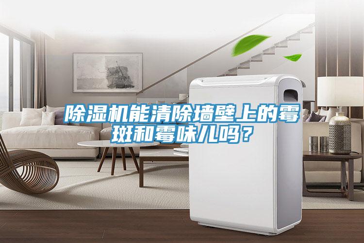蘑菇视频网站能清除牆壁上的黴斑和黴味兒嗎？