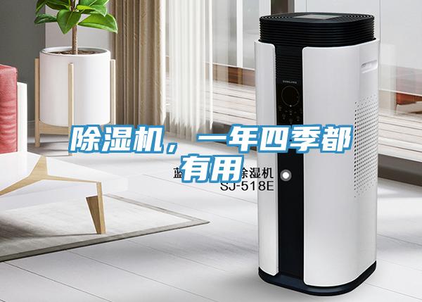 蘑菇视频网站，一年四季都有用