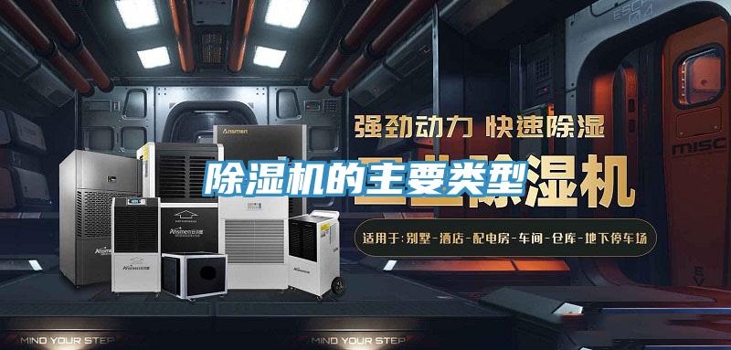 蘑菇视频网站的主要類型