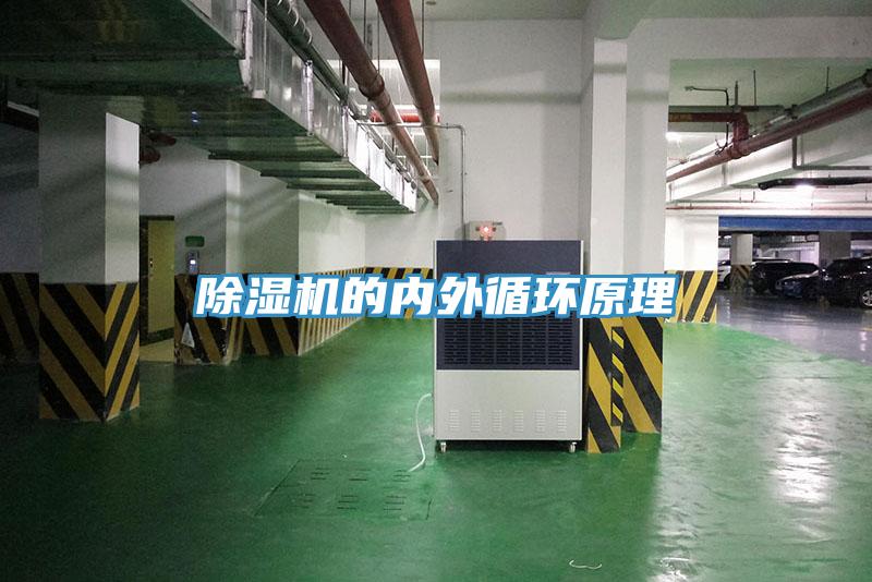 蘑菇视频网站的內外循環原理