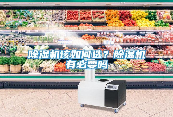 蘑菇视频网站該如何選？蘑菇视频网站有必要嗎