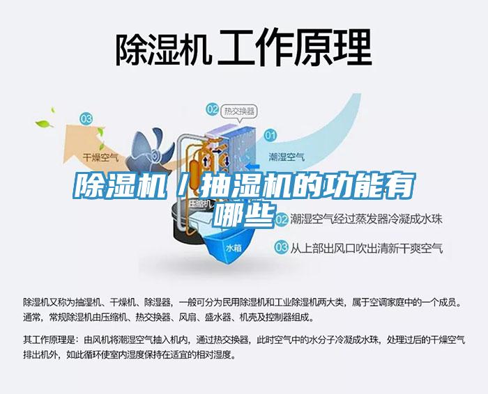 蘑菇视频网站／抽濕機的功能有哪些