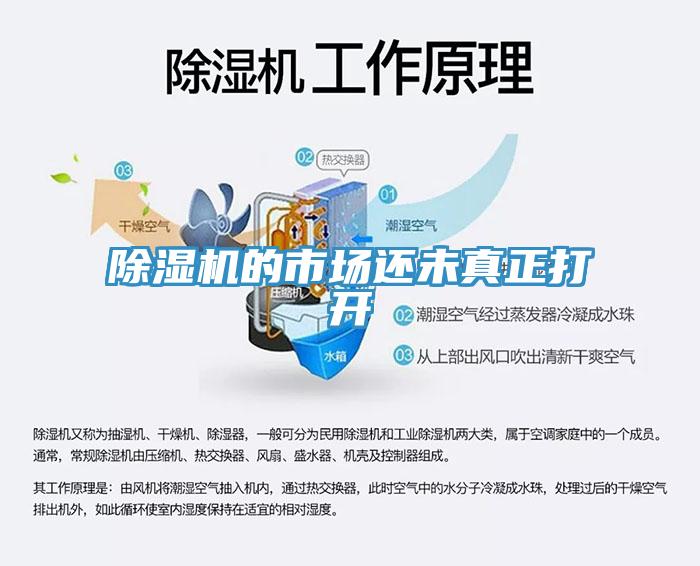 蘑菇视频网站的市場還未真正打開