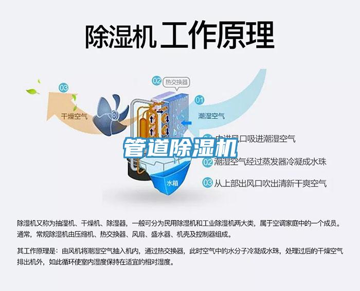 管道蘑菇视频网站