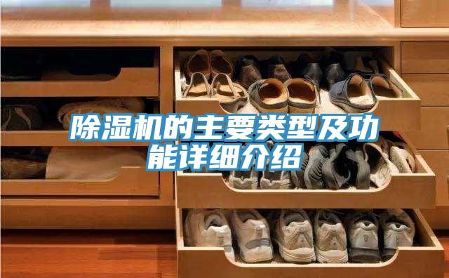 蘑菇视频网站的主要類型及功能詳細介紹
