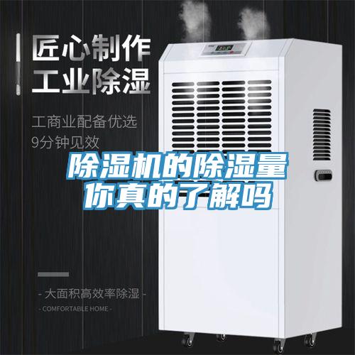 蘑菇视频网站的除濕量你真的了解嗎