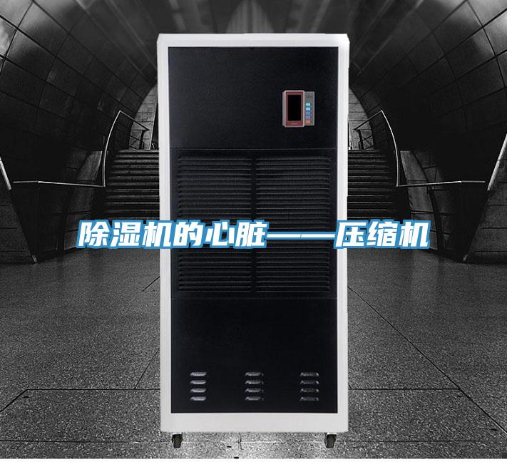 蘑菇视频网站的心髒——壓縮機