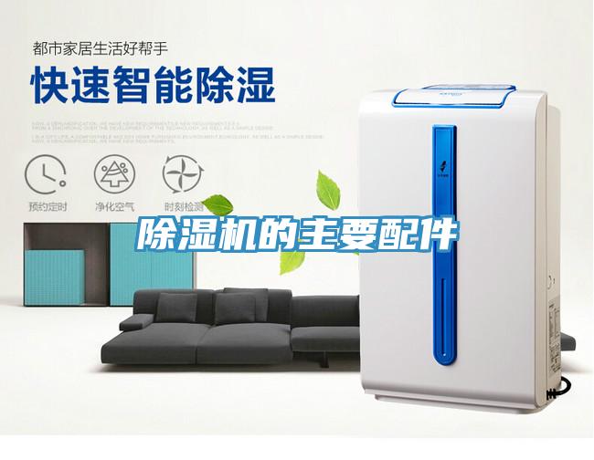 蘑菇视频网站的主要配件