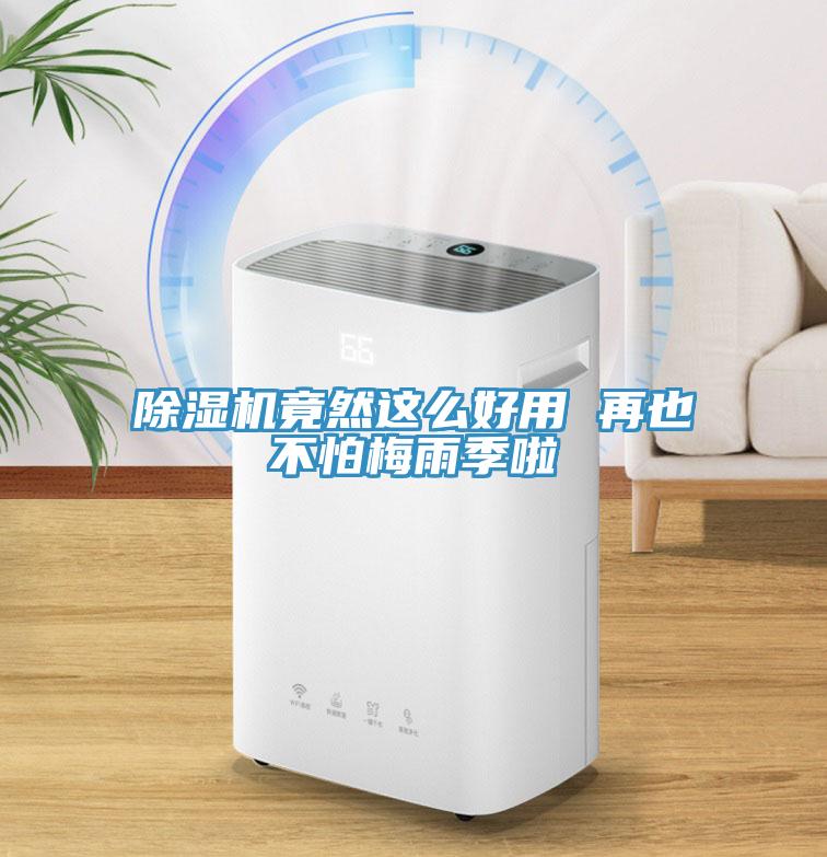 蘑菇视频网站竟然這麽好用 再也不怕梅雨季啦