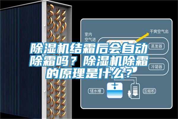 蘑菇视频网站結霜後會自動除霜嗎？蘑菇视频网站除霜的原理是什麽？