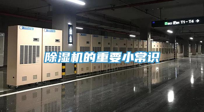 蘑菇视频网站的重要小常識