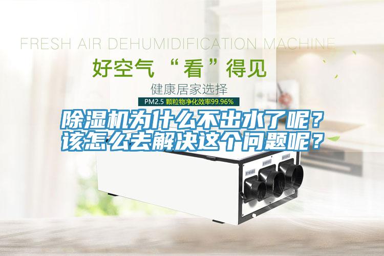 蘑菇视频网站為什麽不出水了呢？該怎麽去解決這個問題呢？
