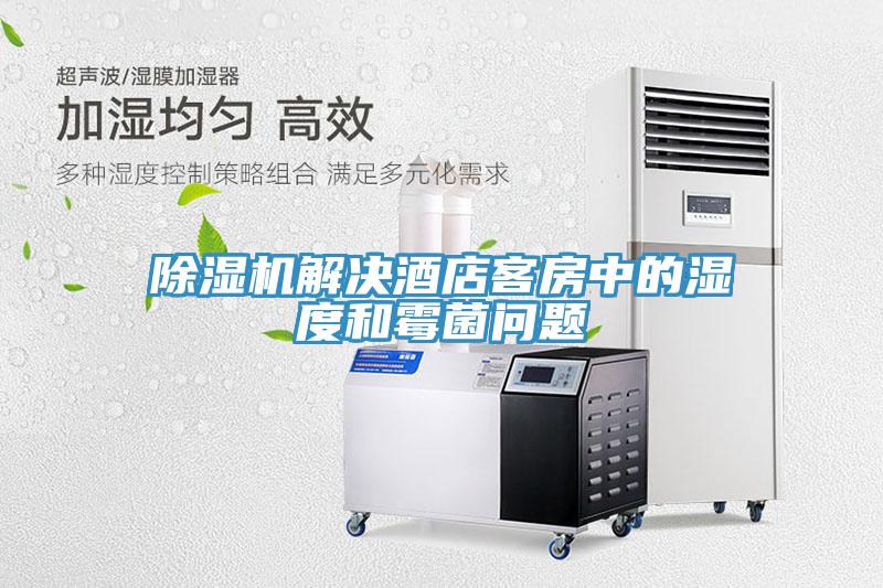 蘑菇视频网站解決酒店客房中的濕度和黴菌問題