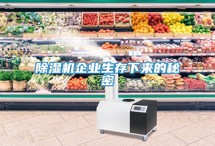 蘑菇视频网站企業生存下來的秘密