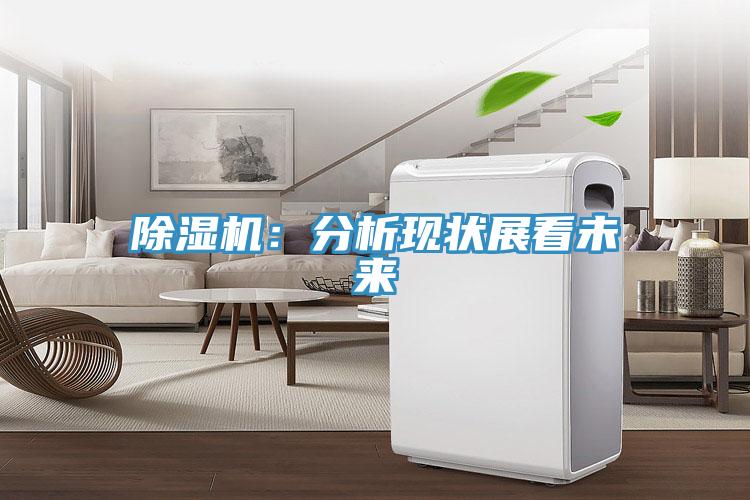 蘑菇视频网站：分析現狀展看未來