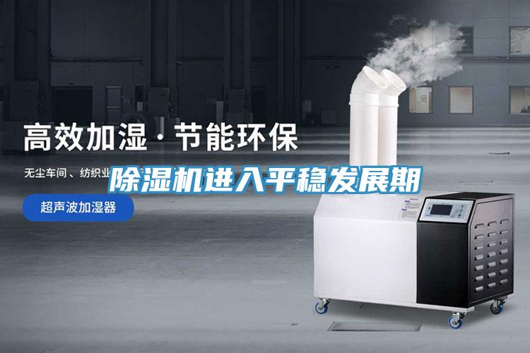 蘑菇视频网站進入平穩發展期