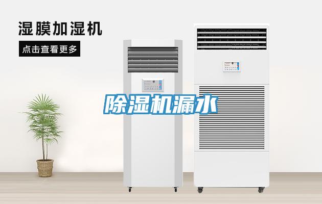 蘑菇视频网站漏水