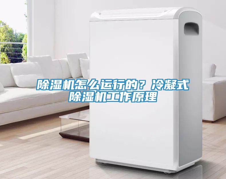 蘑菇视频网站怎麽運行的？冷凝式蘑菇视频网站工作原理