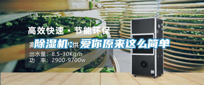 蘑菇视频网站：愛你原來這麽簡單