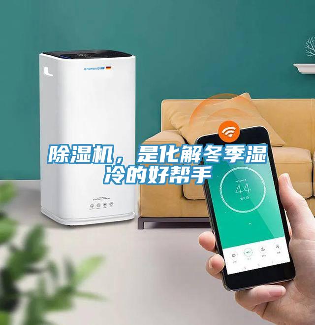 蘑菇视频网站，是化解冬季濕冷的好幫手