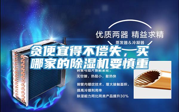 貪便宜得不償失，買哪家的蘑菇视频网站要慎重