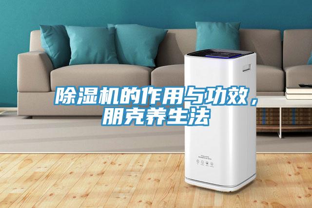 蘑菇视频网站的作用與功效，朋克養生法