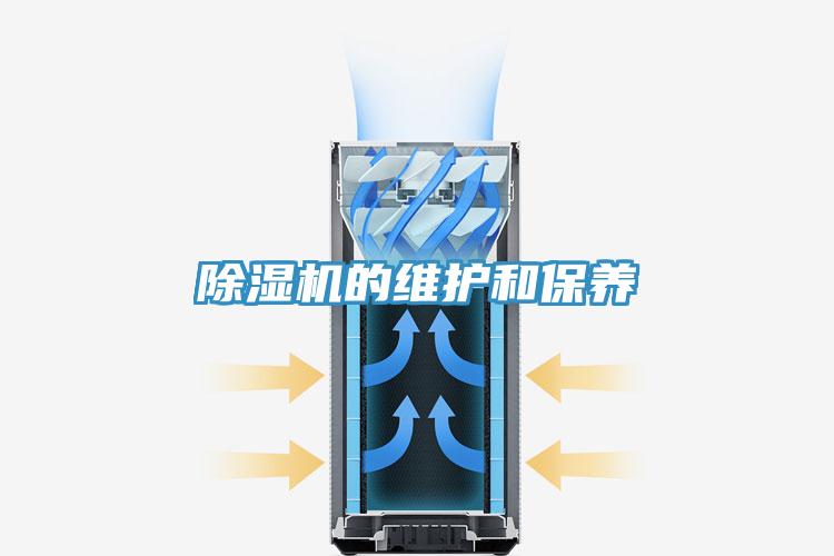 蘑菇视频网站的維護和保養