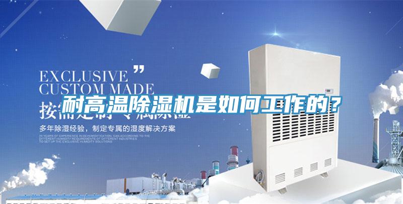 耐高溫蘑菇视频网站是如何工作的？