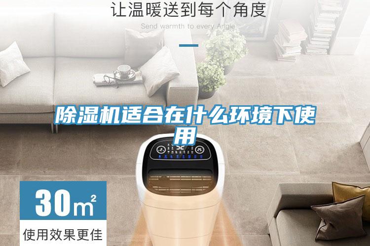 蘑菇视频网站適合在什麽環境下使用