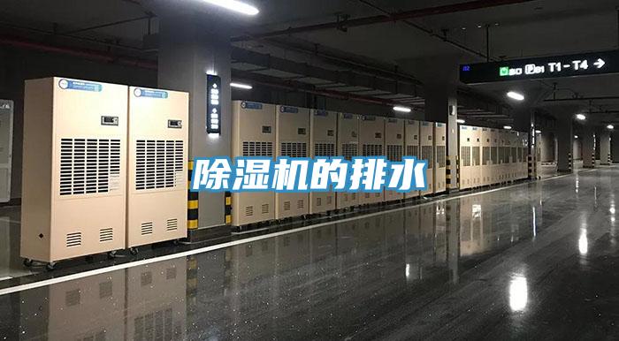 蘑菇视频网站的排水