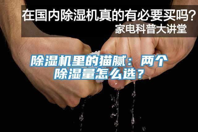 蘑菇视频网站裏的貓膩：兩個除濕量怎麽選？