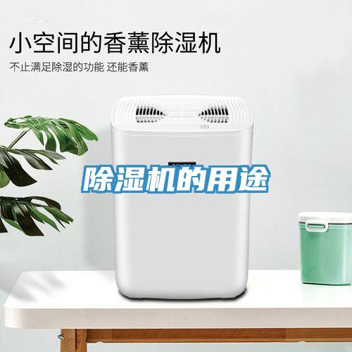 蘑菇视频网站的用途