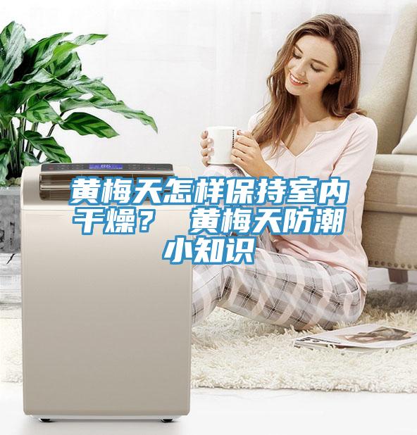 黃梅天怎樣保持室內幹燥？ 黃梅天防潮小知識