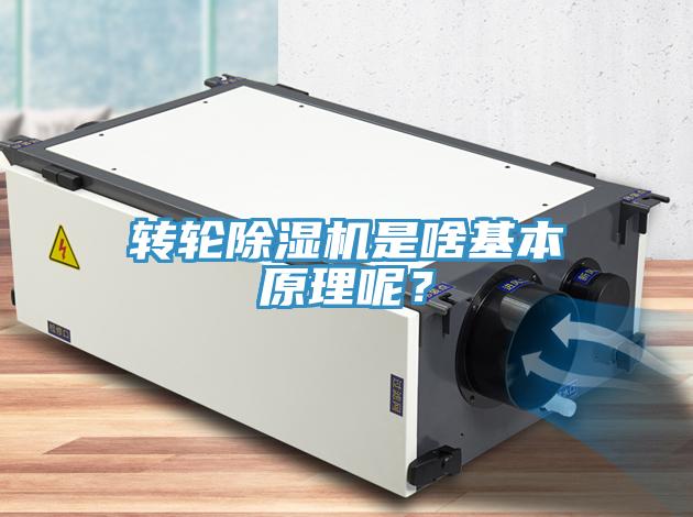 轉輪蘑菇视频网站是啥基本原理呢？