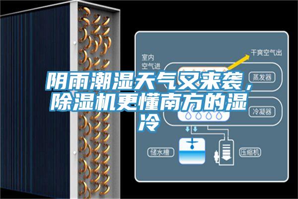 陰雨潮濕天氣又來襲，蘑菇视频网站更懂南方的濕冷