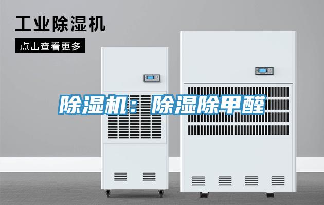 蘑菇视频网站：除濕除甲醛