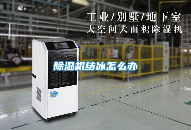 蘑菇视频网站結冰怎麽辦