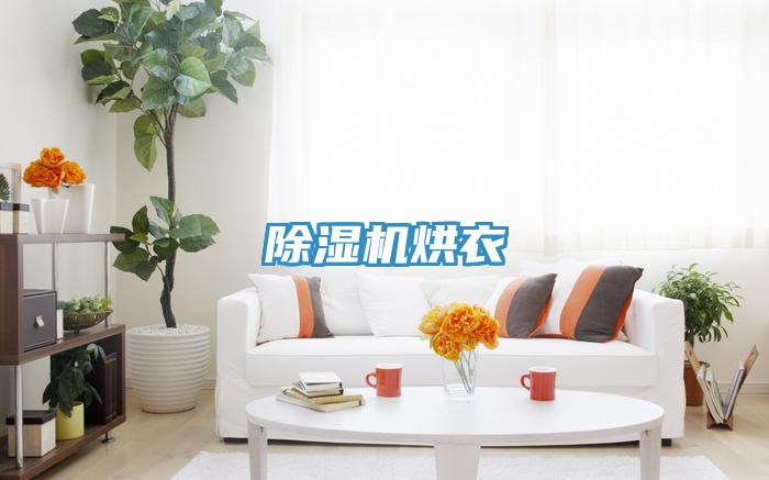 蘑菇视频网站烘衣