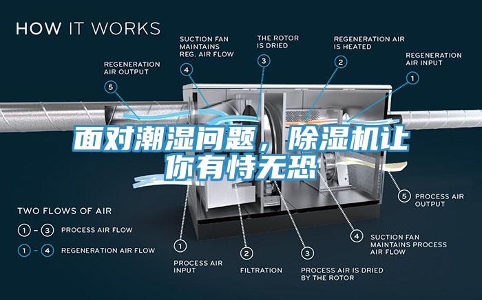 麵對潮濕問題，蘑菇视频网站讓你有恃無恐