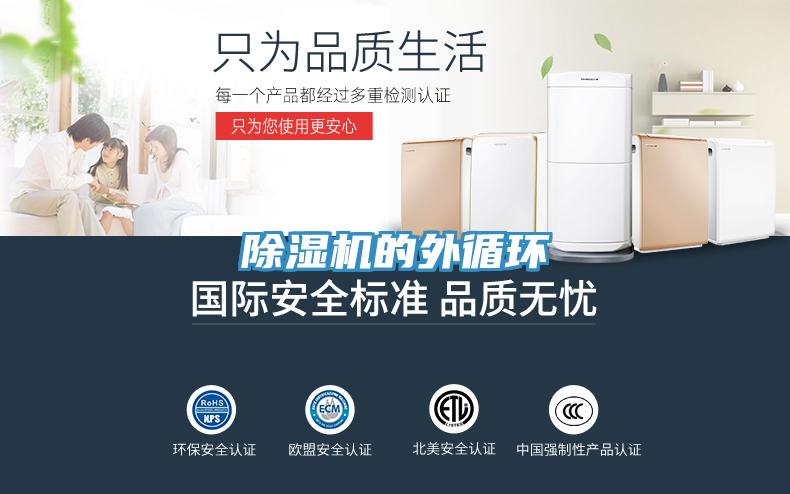 蘑菇视频网站的外循環