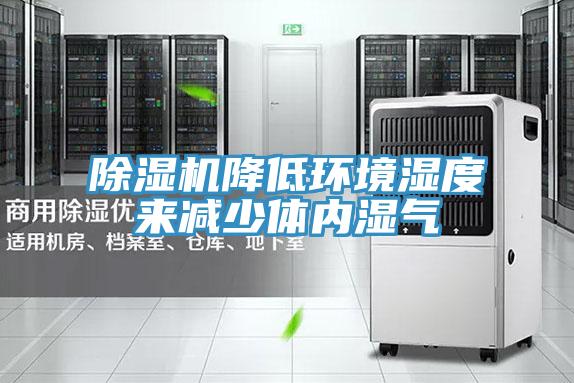 蘑菇视频网站降低環境濕度來減少體內濕氣
