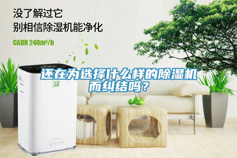 還在為選擇什麽樣的蘑菇视频网站而糾結嗎？
