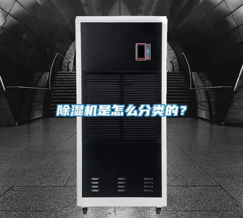 蘑菇视频网站是怎麽分類的？