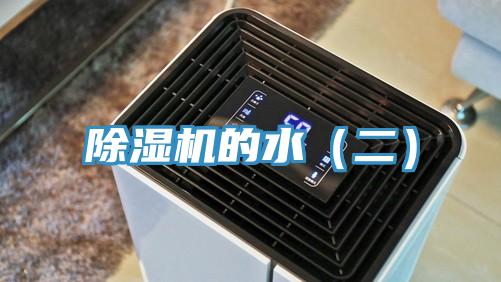 蘑菇视频网站的水（二）