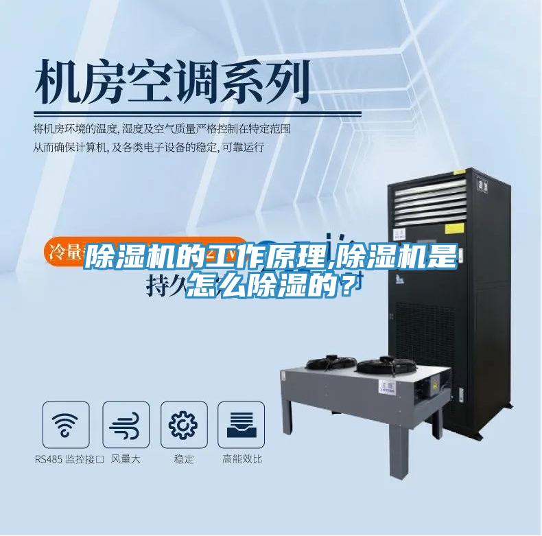 蘑菇视频网站的工作原理,蘑菇视频网站是怎麽除濕的？
