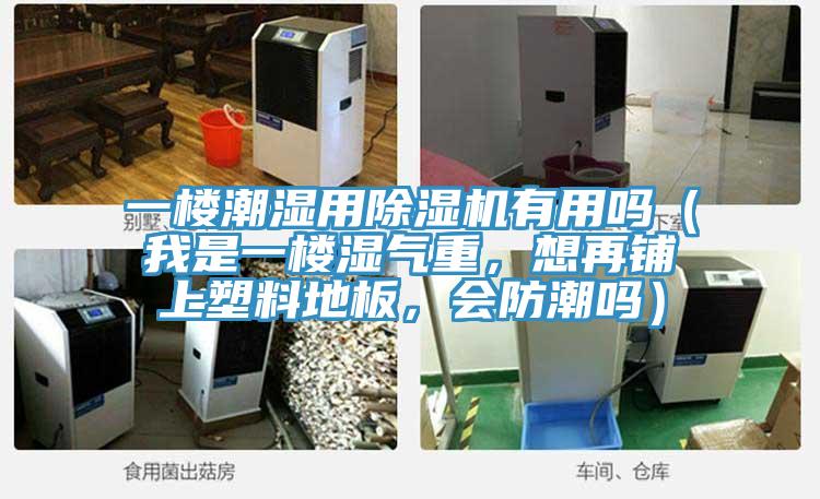 一樓潮濕用蘑菇视频网站有用嗎（我是一樓濕氣重，想再鋪上塑料地板，會防潮嗎）