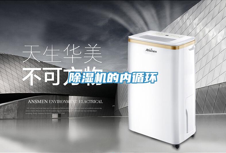 蘑菇视频网站的內循環