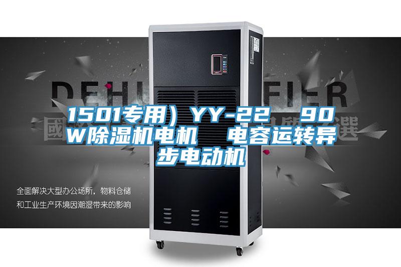 1501專用）YY-22  90W蘑菇视频网站電機  電容運轉異步電動機